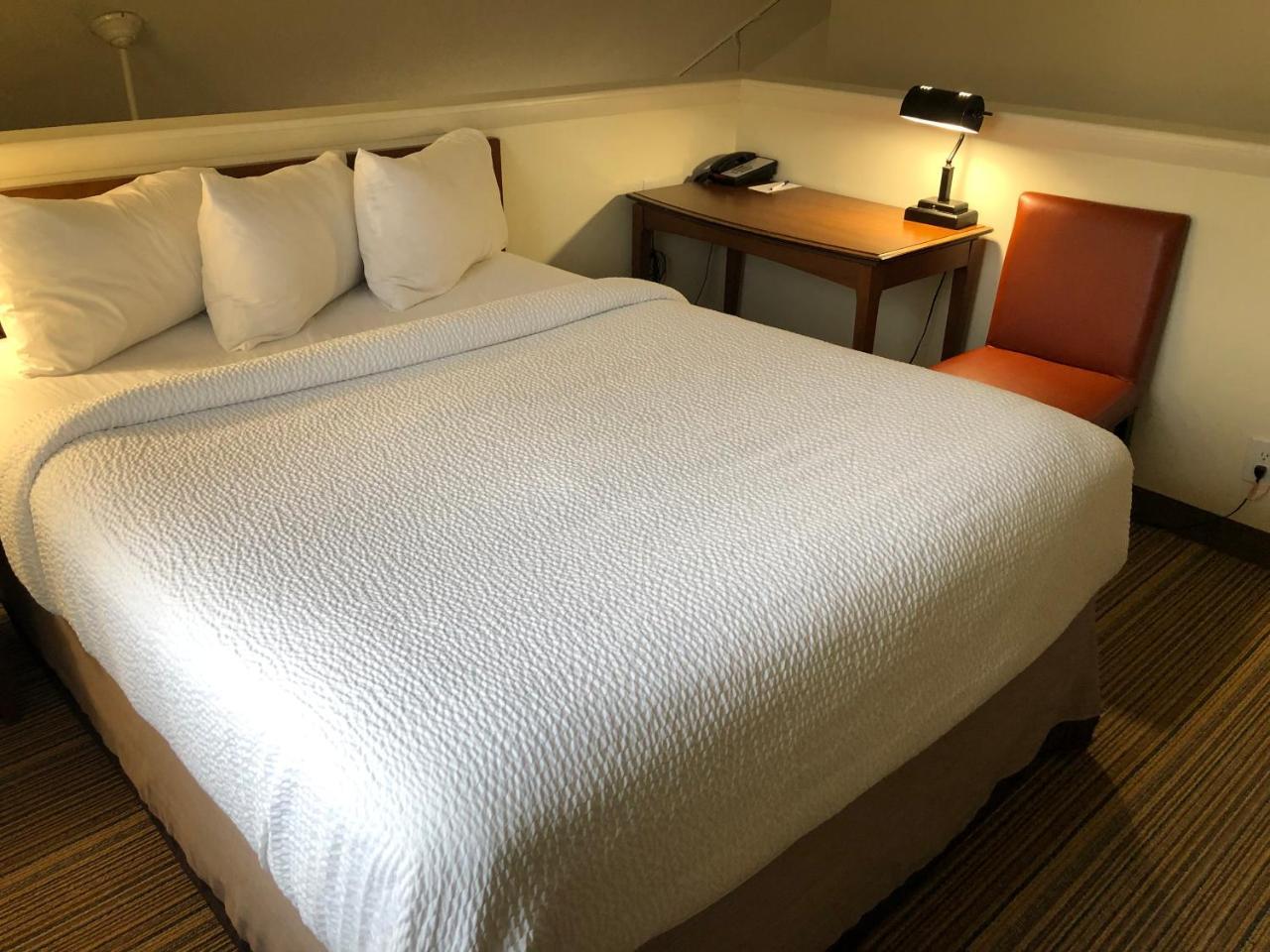 Albany Airport Inn And Suites Latham Buitenkant foto